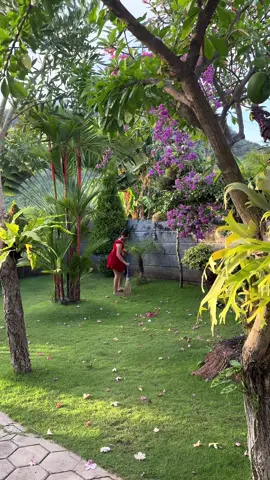 Nyapu,ngeteh,jajan,jemuran☕️🍡🌤️🌸🌱