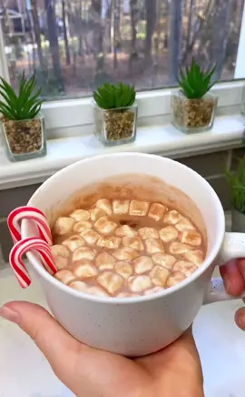 peppermint hot chocolate #fyp #foryoupage #christmasbaking #christmascookies #christmastiktok 