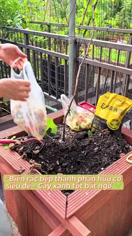 Biến rác bếp thành phân hữu cơ siêu dễ – Cây xanh tốt bất ngờ 🌱✨” #menvisinh #phânHữuCơ #lamvuon #meotrồngcây #greenlife 