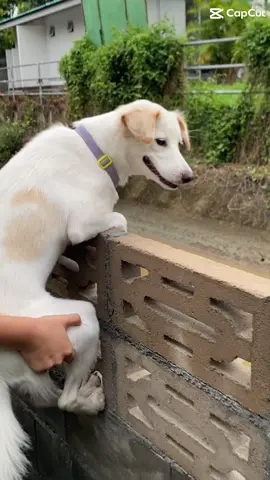 นางแบบ นายแบบชมวิว🦮🐶