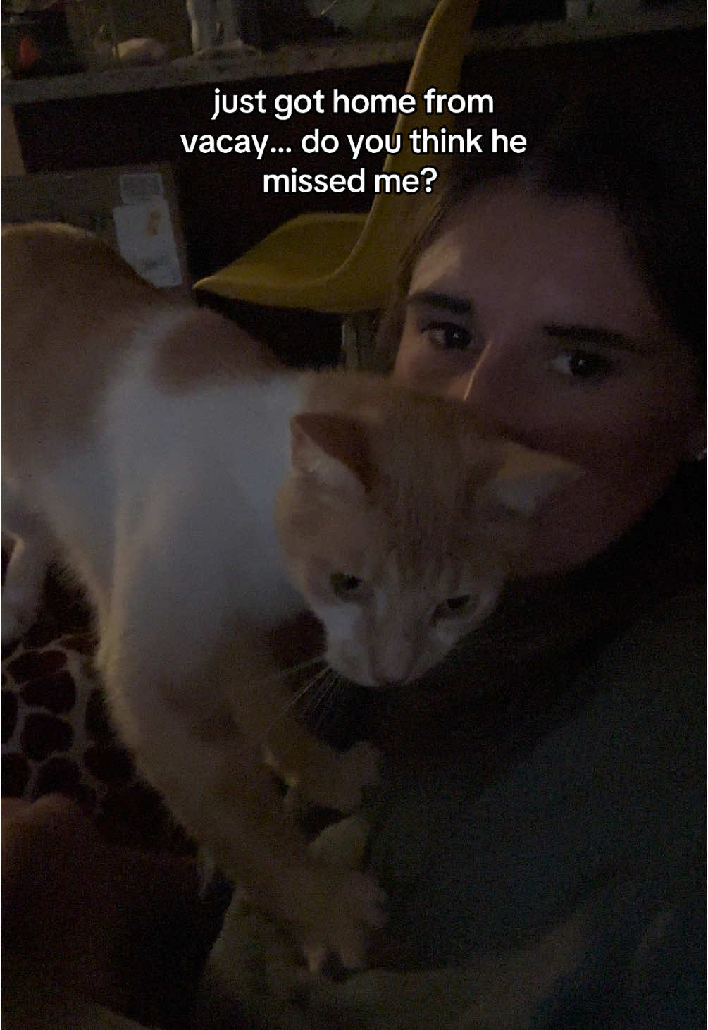 i missed him!!! #catsoftiktok #catlover #cat #catmom #cattok 