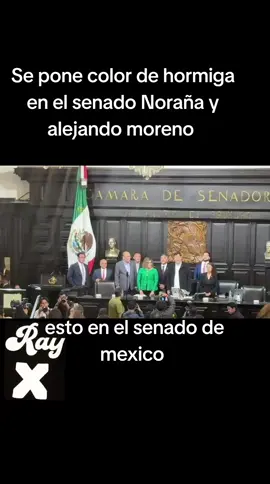 #Noroña #vs #alejandro #moreno #siganme 