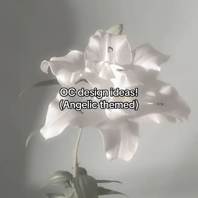 My first post, I’m 100% posting more of OC design ideas for different themes!! #ocdesignideas #OC #angelictheme #designideasinspo #ocinspo 