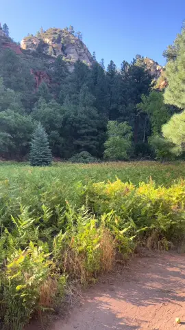 #peaceful #Outdoors #hike 