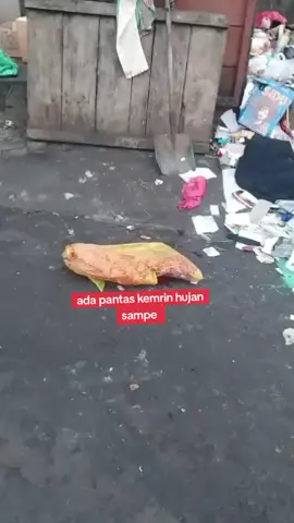penemuan kaki manusia di tempat sampah samping Hotel Amarah