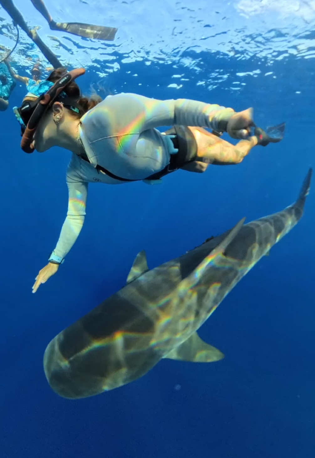 I like to think the rainbows are me and the tiger shark sharing our energies  #shark #hawaii 