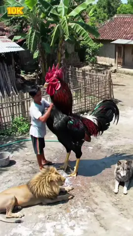 cari lawan wkwkkwk #fypシ゚viral #viral #fyp #trending #AI 