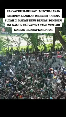 rakyat kecil menjadi korban para mafia tikus berdasi di negeri ini #fypviral #hanturimbapapua #demodpr #demodpr #medan 