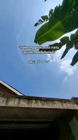 keri sak ndasee🤭#sukoharjoantisambat #promomakangajian #sukoharjo24jam #foryoupage 