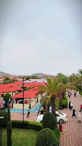 Jibracinku borama way shideen salan jibraacin bislow 