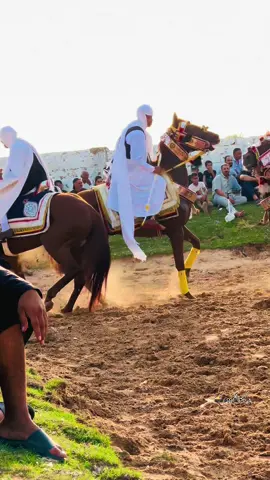 #تبارك_الله❤️🧿 #كيـمو🦅🔥 