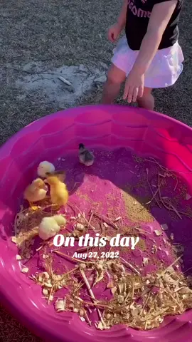 #onthisday 