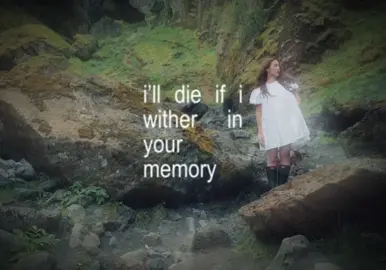 repost.. #amatteroftime #laufey #fyp #laufeyland #foryou @laufey @laufeyland 