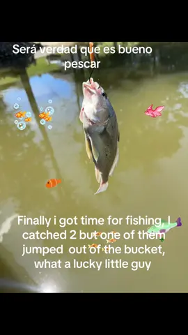 #lakelifestyle #fishingtime🐟🎣 #paraaaaaaaatiiiiiiiiiiiiiiiiiiiiiiii🔥🍀✨ #tiktok?video❤️likeforyou 