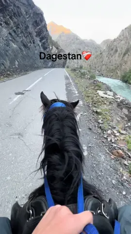 #рекомендации 