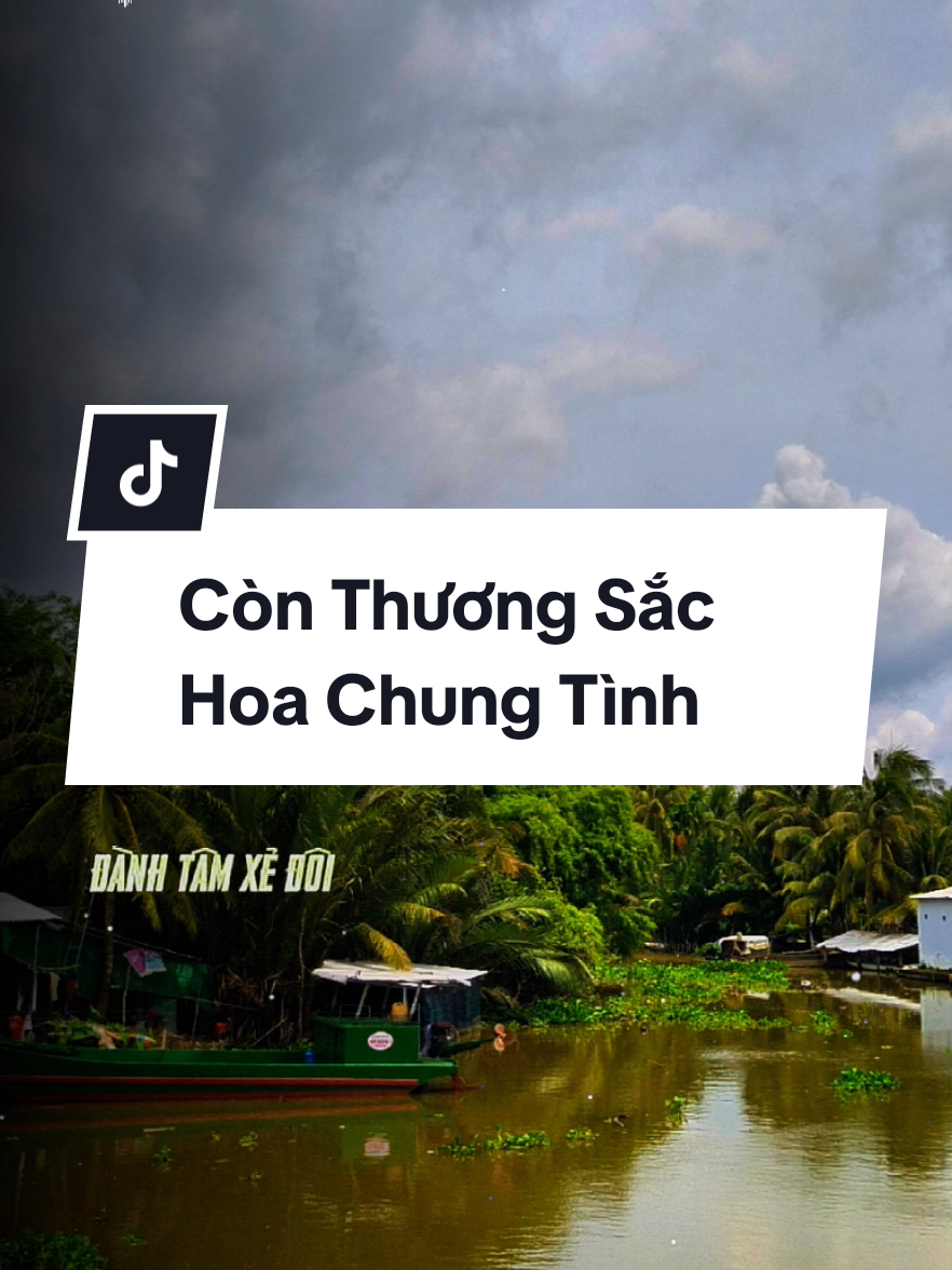 🥺🥺🥺 #nhachaymoingay  #nhactamtrang  #xuhuong2025  #foryou  #fyp 