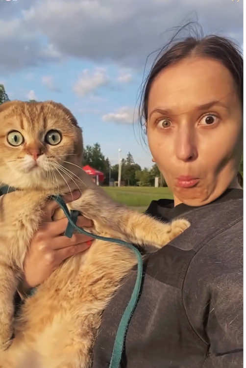 Cats look like their owners 🥰#cat #interesting #funny #cute #foryou 