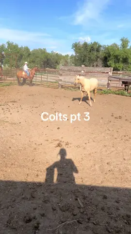 #dennisranchdotcom 