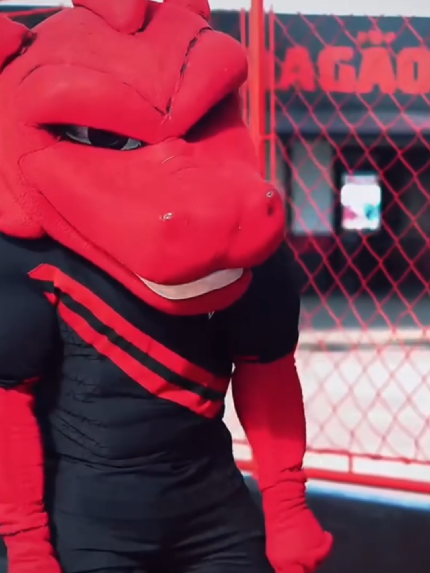 🐉🔥 Dragolino, o Mostradinho da Massa Rubro-Negra 🔥🐉 O Dragolino é aquele mascote que chega pra chamar atenção 👀🔥. Brincalhão, carismático e cheio de energia, ele não passa despercebido! 🤩🙌 Sempre pronto para as fotos 📸, para a festa da torcida 🎉 e para arrancar sorrisos da criançada 👧🧒, dos vovôs e vovós 👴👵 e de toda família atleticana ❤️. Mostradinho porque gosta de estar no meio da galera, vibrando, pulando e representando o coração rubro-negro em cada detalhe. 💓🐲 No estádio, nas ruas ou nos aniversários, onde o Dragolino aparece, a alegria é garantida ✨🤗. Ele é mais que mascote… é a alma alegre do Dragão! 🐉🔥💖 — Texto Paulo Marcos #Dragolino #Mostradinho #Dragão #AtléticoGoianiense #FamíliaAtleticana #RubroNegro #PauloMarcos