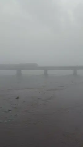 rail car on Ravi bridge flood scene 28 aug 2025 time 6:00am  #foryou #raviriverflood #riverravi #ravi #flood 