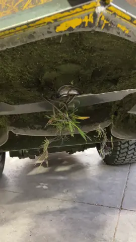 That did not hold. I lucky today that I decided to do a TikTok #livingonaprayer #fypシ #farmlife #farmtok #mowing 