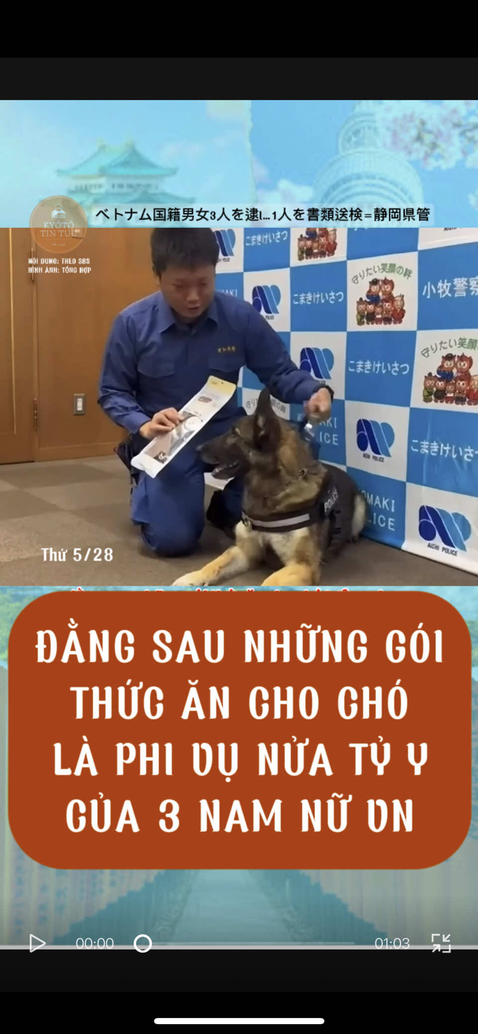 #tiktoknews #nhatban #vietnam #nguoivietonhat 