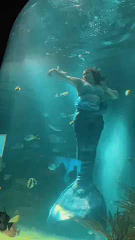 can't believe i only have one more performance left but im so blessed with this opportunity and am excited to continue working and being better for next season! #lovemyjob #dreamjob #mermaids #gatlinburg #ripleysaquarium 