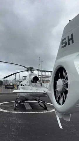 The H130 has no bad side @Airbus 🔥🔥  #helime #helicopter #auckland #travel #nz 