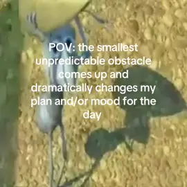#meme #funny #inconvenience #dramatic #bugslife 