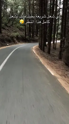 #blida 