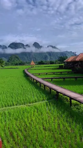 #สตอรี่สีเขียว🏔️ #คนรักเขา⛰️ #วังเวียงธารารีสอร์ท  🇱🇦