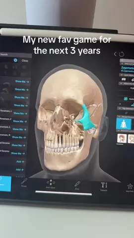I accidentally spent like $60 on this app in high school and it’s finally coming to good use 🤣🤣 @Visible Body #visiblebody #anatomy #skull #bones