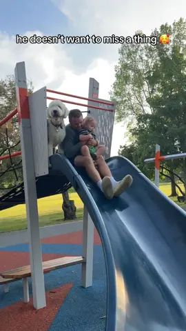 This dog doesn’t care what the activity is, he will be there 🤣 the best puppy  #dogs #dog #dogsandbabies #doglife #dogsoftiktok 