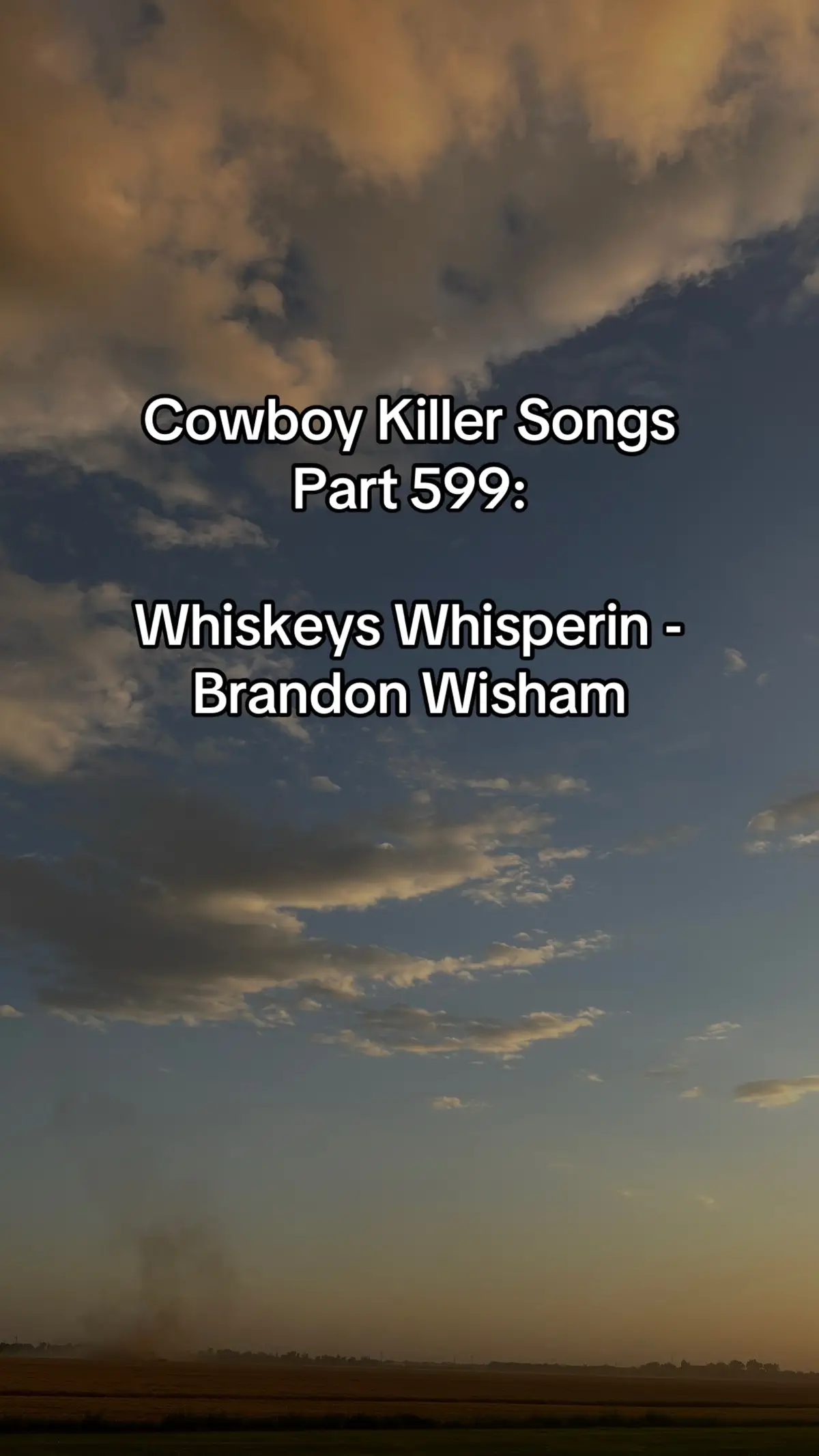 #lyrics #countrysong #trending #countrymusic #newartist @Brandon Wisham 