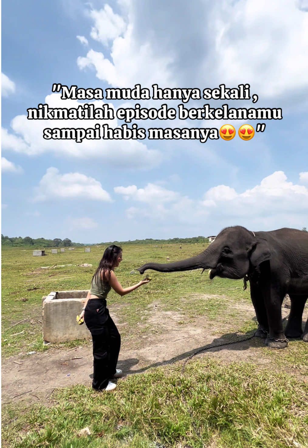 Setiap perjalanan adalah investasi kenangan ✨🥰 - *[Open Trip Pahawang - Pulau  Wayang - Safari Way Kambas, 3 Hari 2 Malam ]* .  *TANGGAL AVAILABLE* 3D2N (Start Bandung/Jakarta) 🗓 20-23 Maret 2025 ✅ 🗓 5-7 April 2025 ✅ 🗓️ 18-20 April 2025  ✅ 🗓️ 10-12 Mei 2025 ✅ 🗓️ 28-30 Mei 2025 ✅ 🗓️ 27-29 Juni 2025 (Full seat)✅ 🗓️ 25-27 Juli 2025 ✅ 🗓️ 29-31 Agustus 2025 🗓️ 4-6 September 2025 🗓️ 26-28 September 2025 🗓️ 24-26 Oktober 2025 🗓️ 28-30 November 2025 🗓️ 26-28 Desember 2025 2D1N (Start Bandar Lampung) 🗓️19-20 April 2025 ✅ 🗓️ 11-12 Mei 2025 ✅ 🗓️ 6-7 Juni 2025 ✅ 🗓️ 21-22 Juni 2025✅ 🗓️ 28-29 Juni 2025✅ 🗓️ 26-27 Juli 2025✅ 🗓️ 30-31 Agustus 2025 🗓️ 5-6 September 2025 🗓️ 25-26 Oktober 2025 🗓️ 29-30 November 2025 🗓️ 27-28 Desember 2025 *Seat Terbatas* ‼️ *PAKET HARGA OPEN TRIP* . ✅ Start Bandung : 2,5 jt/Orang ✅ Start Jakarta : 2,1 jt/Orang ✅ Start Merak : 1,9 jt/Orang ✅ Start Lampung 1,1 jt/orang .  📍 *DESTINASI WISATA* ✅ Pulau Teluk Hantu ✅ Pulau Wayang ✅ Pahawang Besar ✅ Kelagian kecil ✅ Snorkling Taman Nemo ✅ Taman Nasional Way Kambas ✅ Pusat Latihan Gajah ✅ Rumah Sakit Gajah #waykambas #exploreindonesia #wisatalampung #pulauwayang 