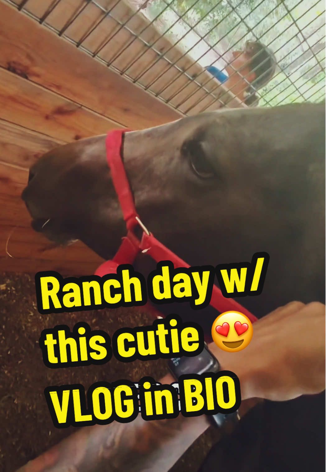 Ranch Day w this cutie 😍 Vlog link in BIO 🎬 #TheTribe #RanchDay #IamJustified #Vlog 