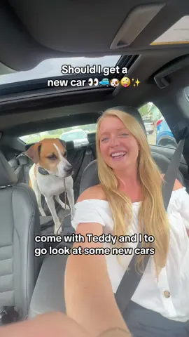 Should I get a new car 👀🚙🐶🤪✨ #Lexus #dogmom #dogcar #LexusGX #LexusTX 