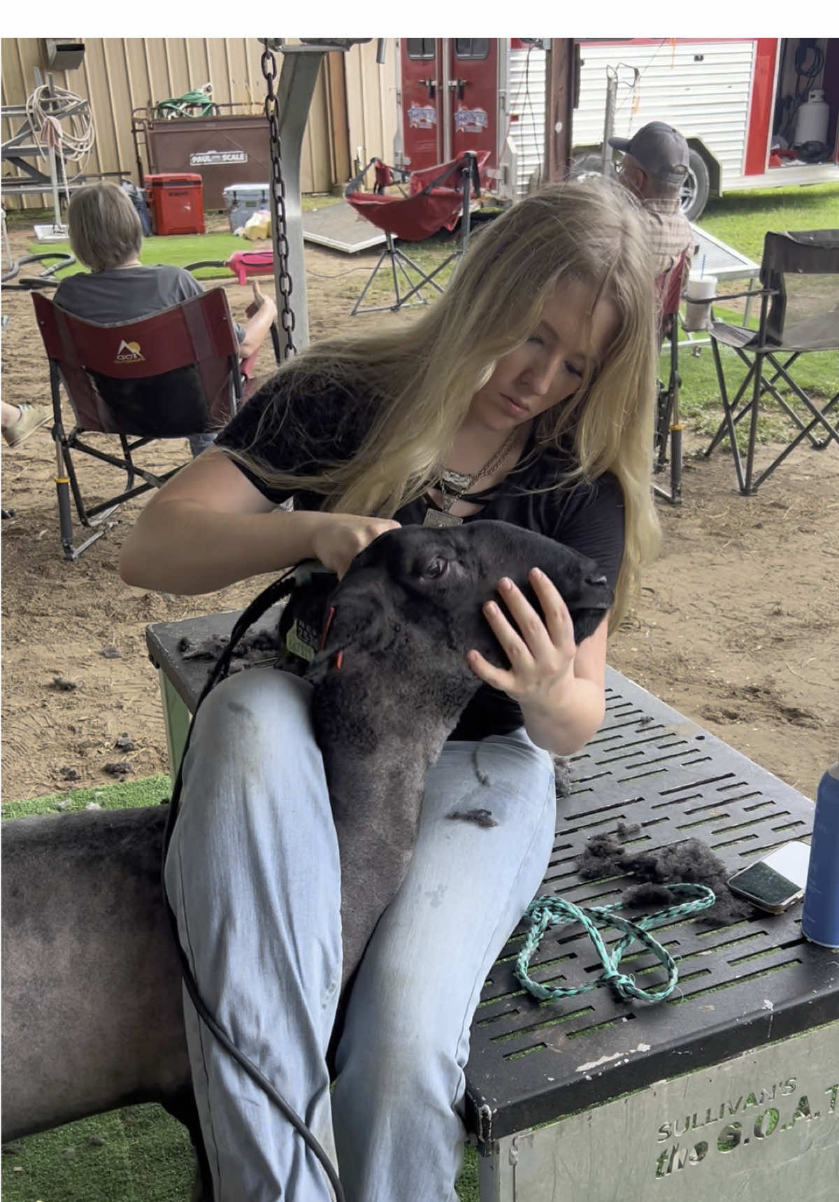 It worked. #stockshowdreamchasers  #clipping #sheepoftiktok #sheepshearing #lambsoftiktok #showlamb #ffa #4h #underdog #motivation #agtok #tiktok #fy #underdog 