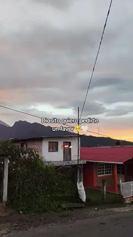 #viral #amor #paradedicar #etiquetaatunovia😍🥺❤️😻 #viral 