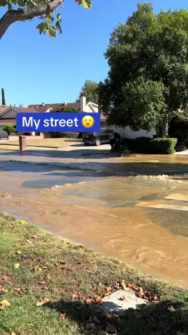 Water main broke.  It was completely flooded deeper than this (DWP was already turning it down at this point) #OhNo #fyp #water #oops 