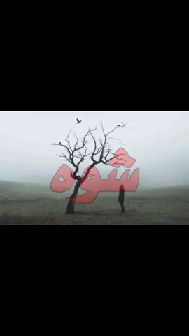 غيابه  شوه نوم العين#foryou #foryoupage #اغاني_مسرعه💥 #اغاني_عراقيه #اكسبلورexplore 