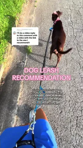 Replying to @SAVANNAH KAYE this is the one that I LOVEEE my tried and true dog leash, it’s got the bungee so it’s no pull and it makes walks soo much easier with Murphy #dogsoftiktok #dogleash #handsfreeleash #ttshopreview 