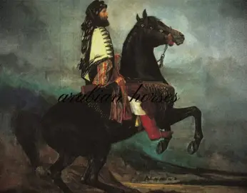 the arabian horse is one of the oldest horse breeds in the world. it originated in the desert with the bedouins and is known for its beauty, strength, and loyalty. with its short head, high tail, and ability to endure long distances, it spread across the world and became a symbol of heritage and horsemanship. #arab #fyp #capcutedit #explore #fypシ゚viral  