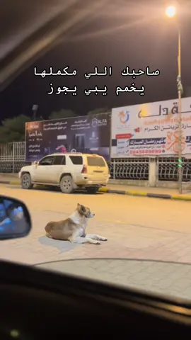 #ليبيا🇱🇾 