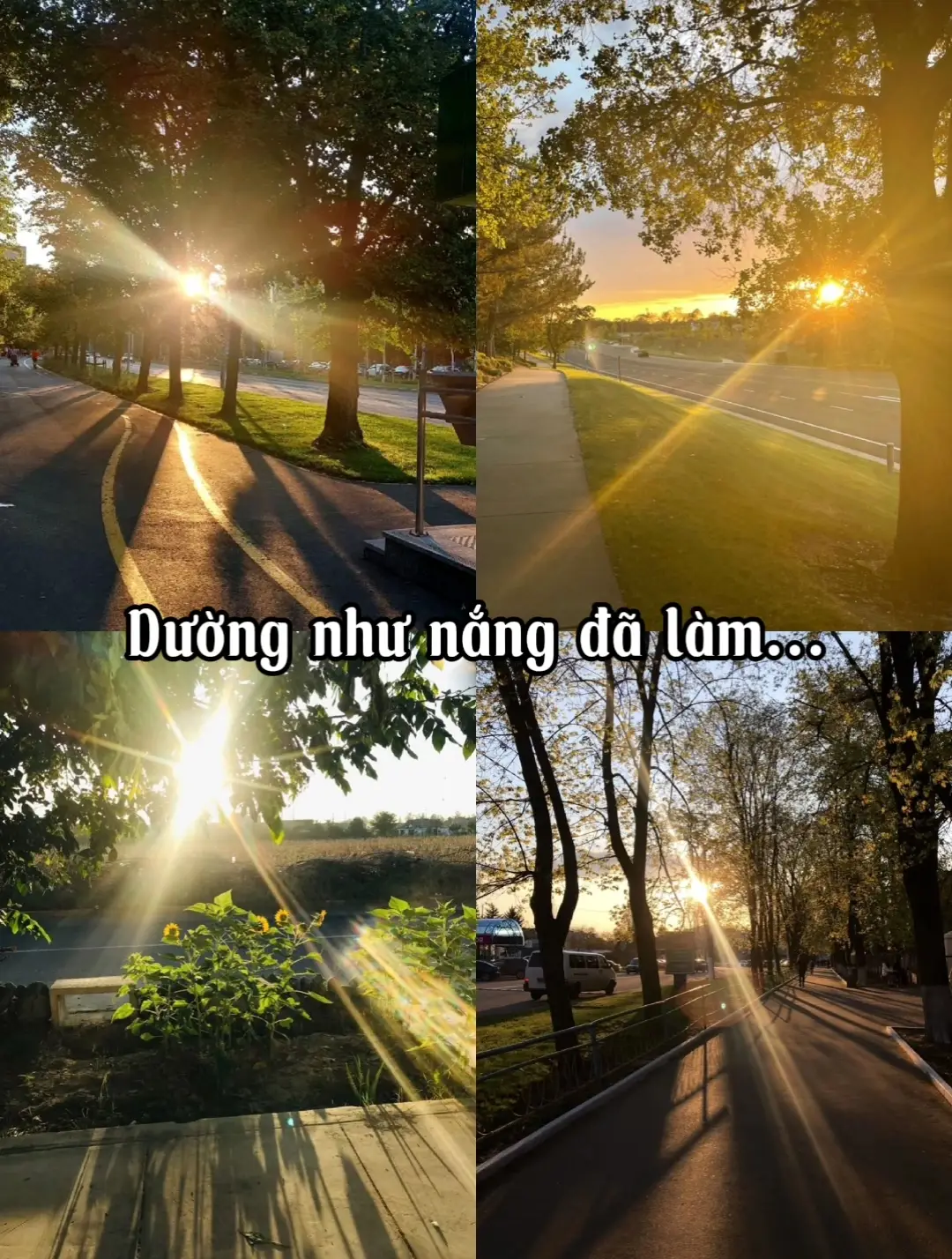 Không hề có sự thiên vị nào ở đây! #muichiro #kny #sơntùngmtp 
