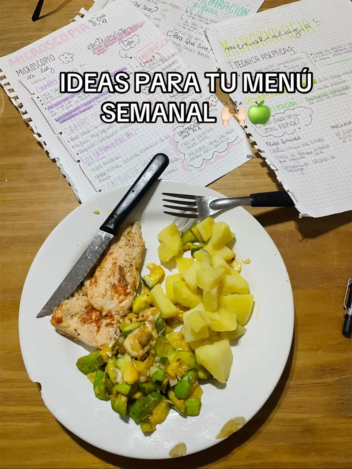 coman rico (igual se quedan con hambre conmigo 😭) #menusemanal #que #tuvieja #nosequeponer #queverguenzaoe 
