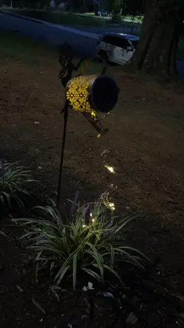 Decora tu jardín 🧚‍♀️