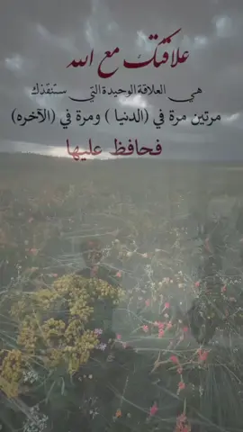‏قد لا أكون شخص يفقه بـ أمور الدين كثيراً و لكني أخاف الله و أُحاسب نفسي دائماً ولدي ضمير حي ولا أجاهر بـ المعصيه ولا أود الخطأ ولا أحقد ولا أنوي شر لـ أحد و أتمنى الخير لـ الجميع ولا أرضى بـ الظلم فـ اللهم أنت أعلم بـ النيه -#ارحمنا_برحمتك_ياارحم_الراحمين 