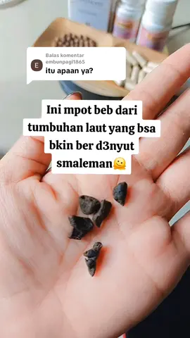 Membalas @embunpagi1865hayuk co beb🫠 