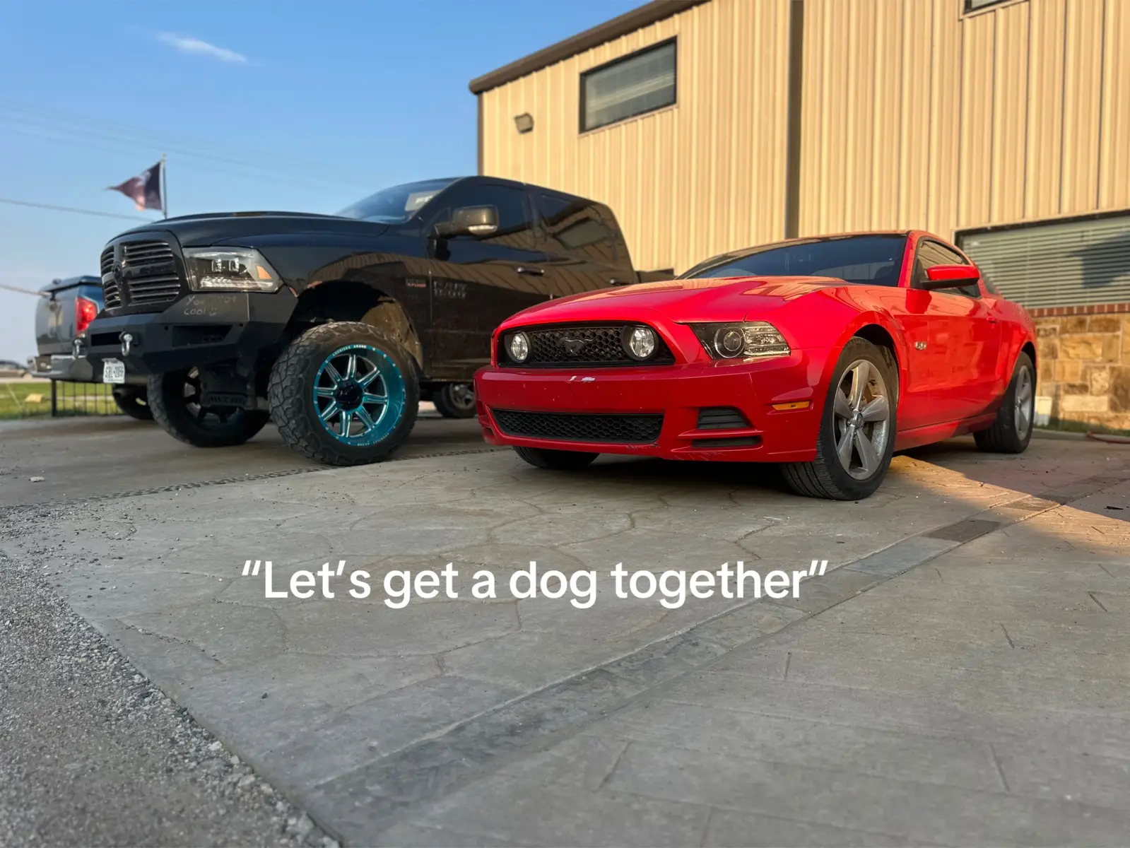 Note taken never say let’s get a dog together just go get one #goldenretriever #goldenretrieverlife 